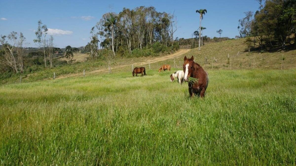הוילה Rancho Sol Poente - Rancho Queimado - Sc מראה חיצוני תמונה